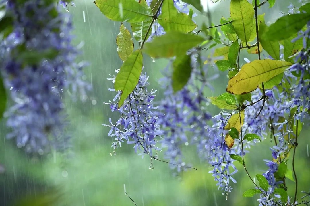 五一假期广东天气咋回事？粤北和珠三角暴雨来袭