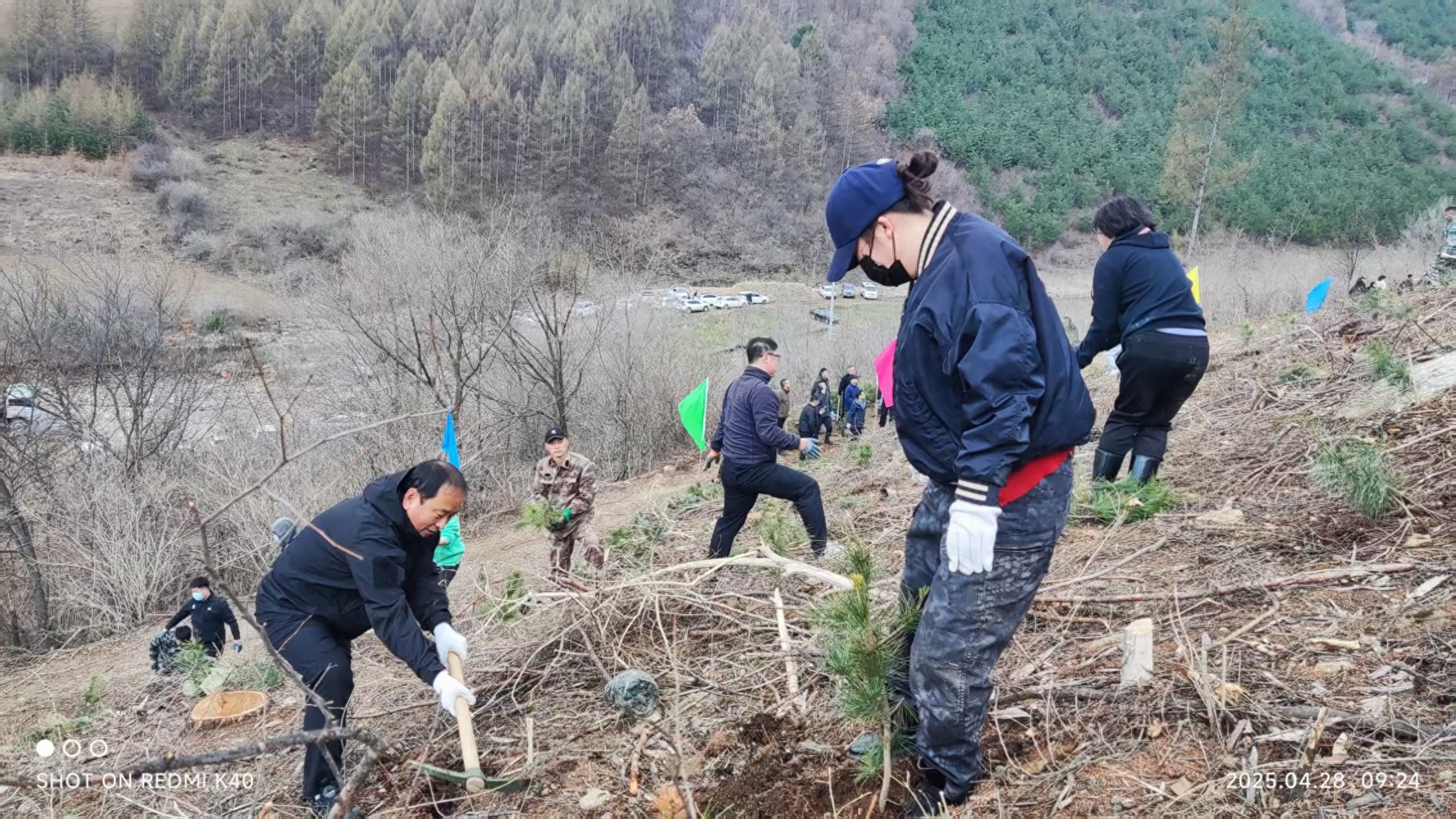 4月28日长白县开展全民义务植树活动？你了解多少植树要点