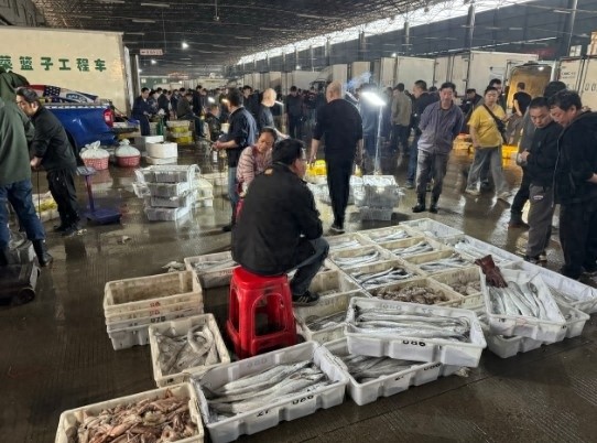 5月1日12时东海全面休渔！海鲜价格小波动？最后一波鲜别错过