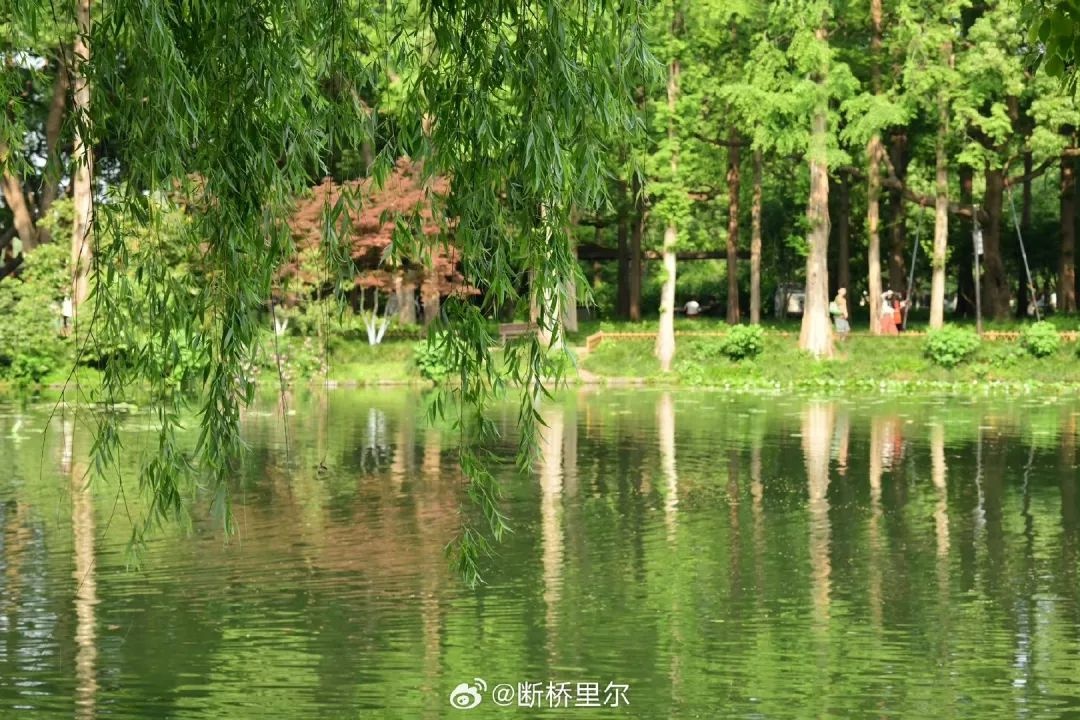 五一假期前最后工作日！杭州天气突变，返程竟可能有雨？  第2张