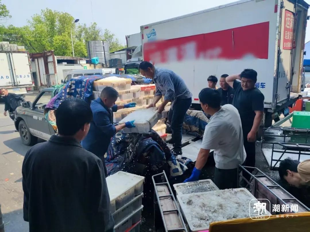 休渔将至！5月1日12时起东海禁渔，海鲜囤货攻略你知道吗？  第2张