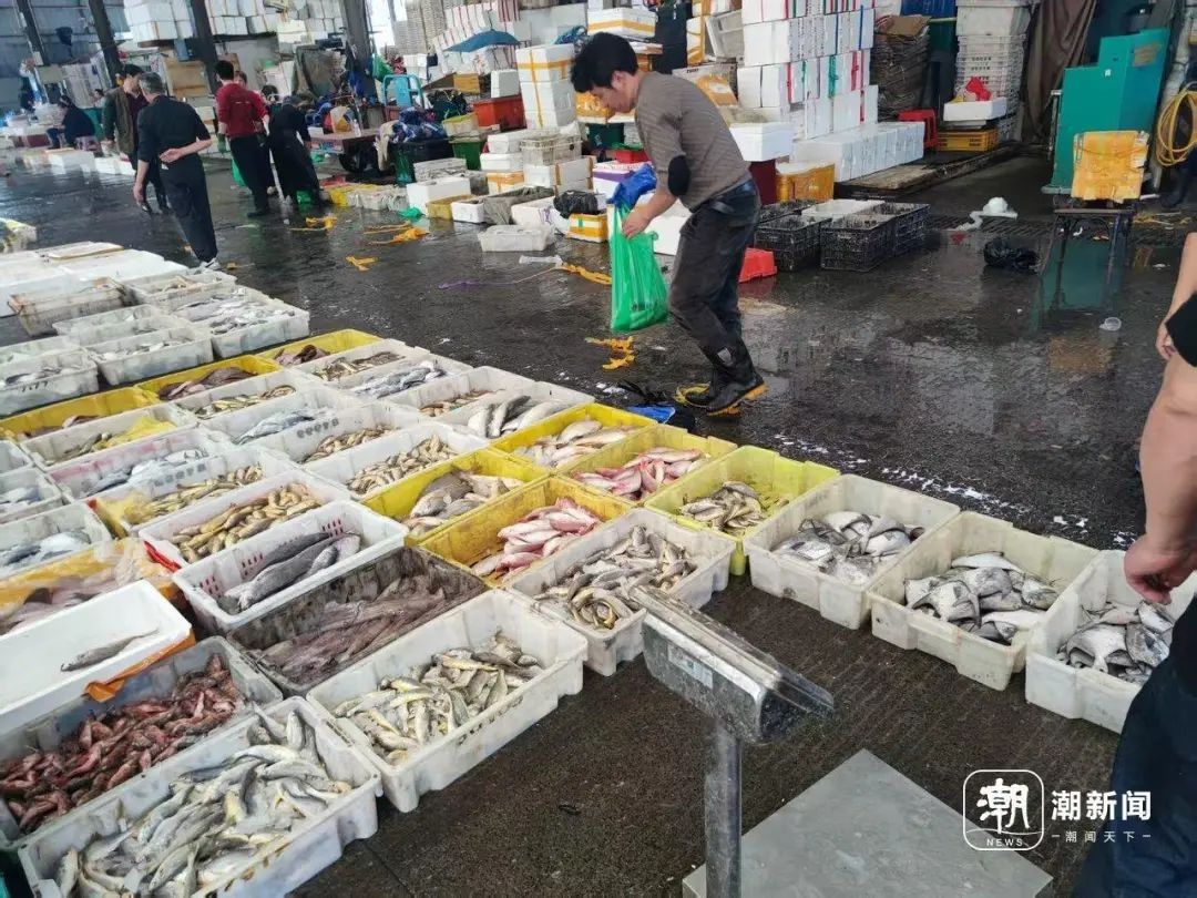 休渔将至！5月1日12时起东海禁渔，海鲜囤货攻略你知道吗？  第3张