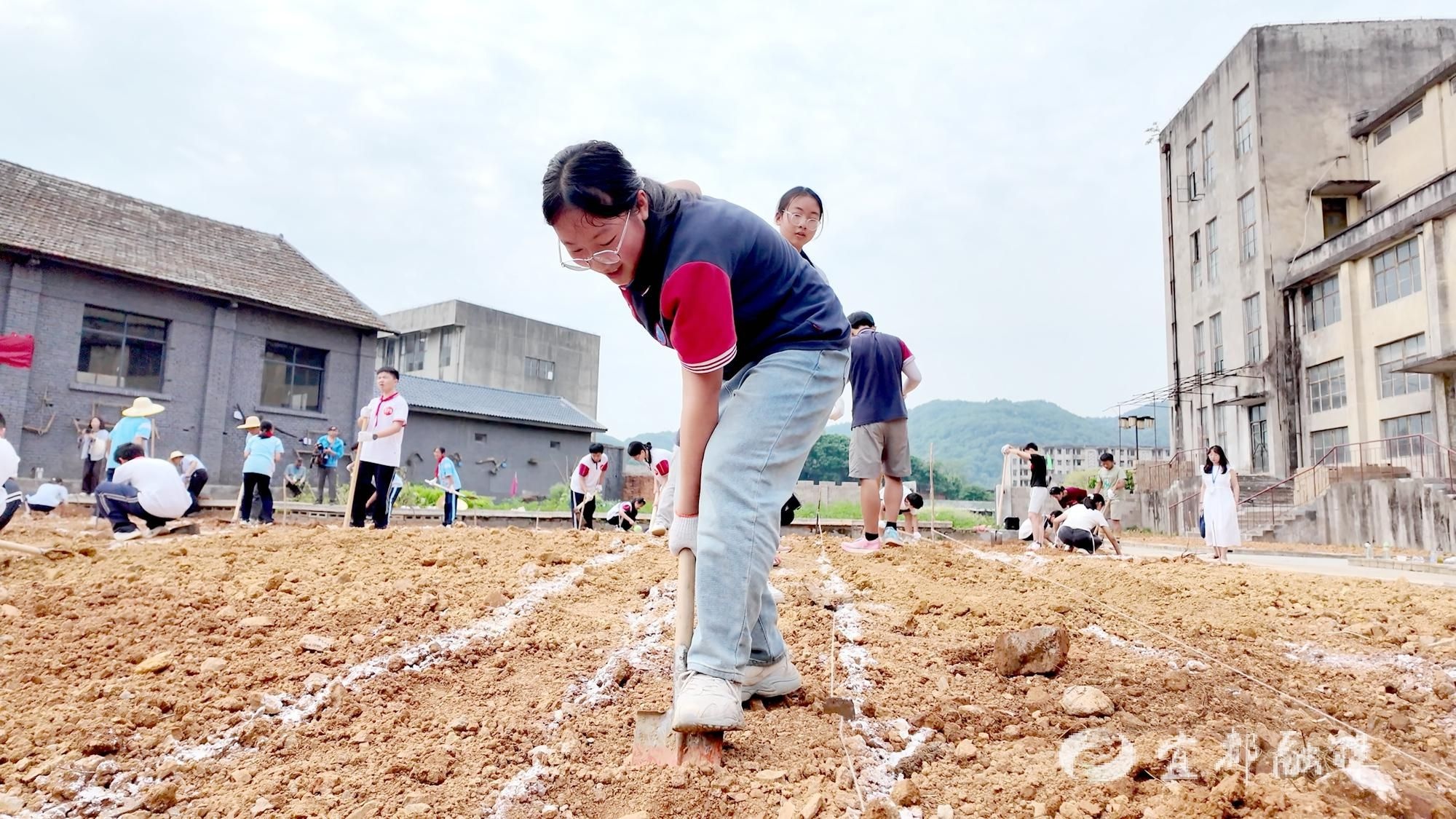 4月29日！宜都市首届中小学生劳动技能大赛有多精彩？速来围观  第2张