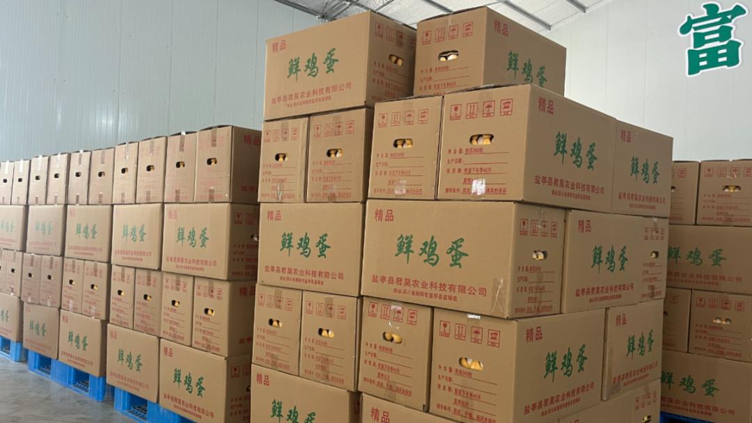 五一临近！我县如何确保百姓节日餐桌鲜鸡蛋供应充足？  第7张