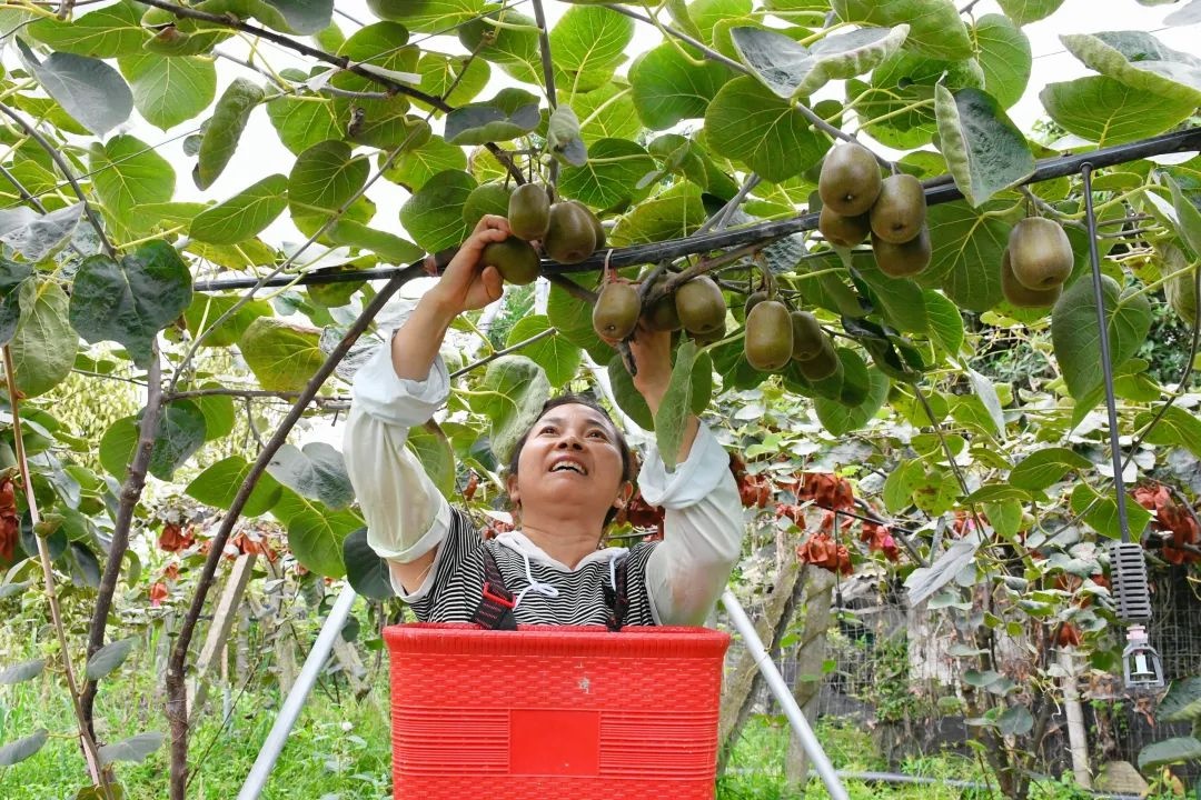 五一佳节，都江堰劳动者绘就崭新画卷？他们的付出令人动容  第8张