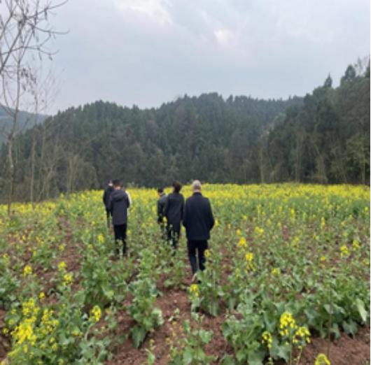 乐至县法院首次裁定终结诉讼审结行政公益诉讼案？背后有何深意  第2张