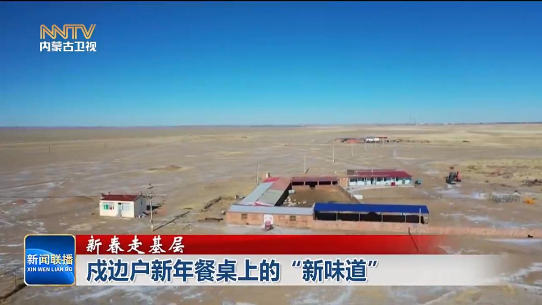 边境线上的奇迹！30个智能小温室如何改变400户戍边户的新年餐桌？  第11张