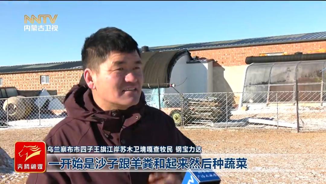 边境线上的奇迹！30个智能小温室如何改变400户戍边户的新年餐桌？  第12张