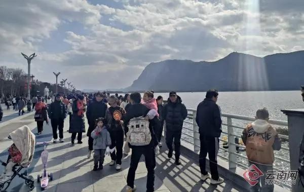 红嘴鸥去哪儿了？昆明海埂大坝观鸥季竟难觅鸥影  第2张