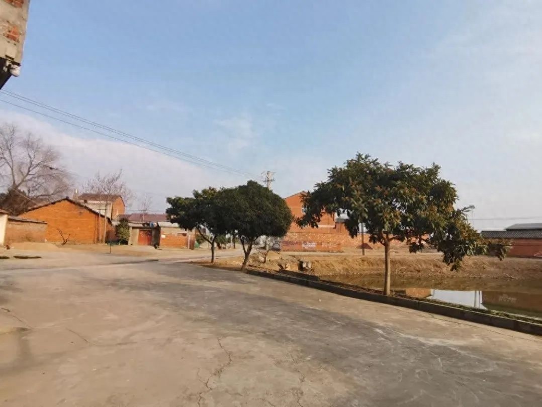 新春已至各地清洁家园，你那开始行动了吗?