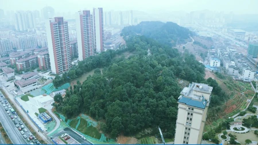 宜春市宜阳新区山体公园改造项目为何能上榜？揭秘1亿元投资背后的惊人变化  第7张