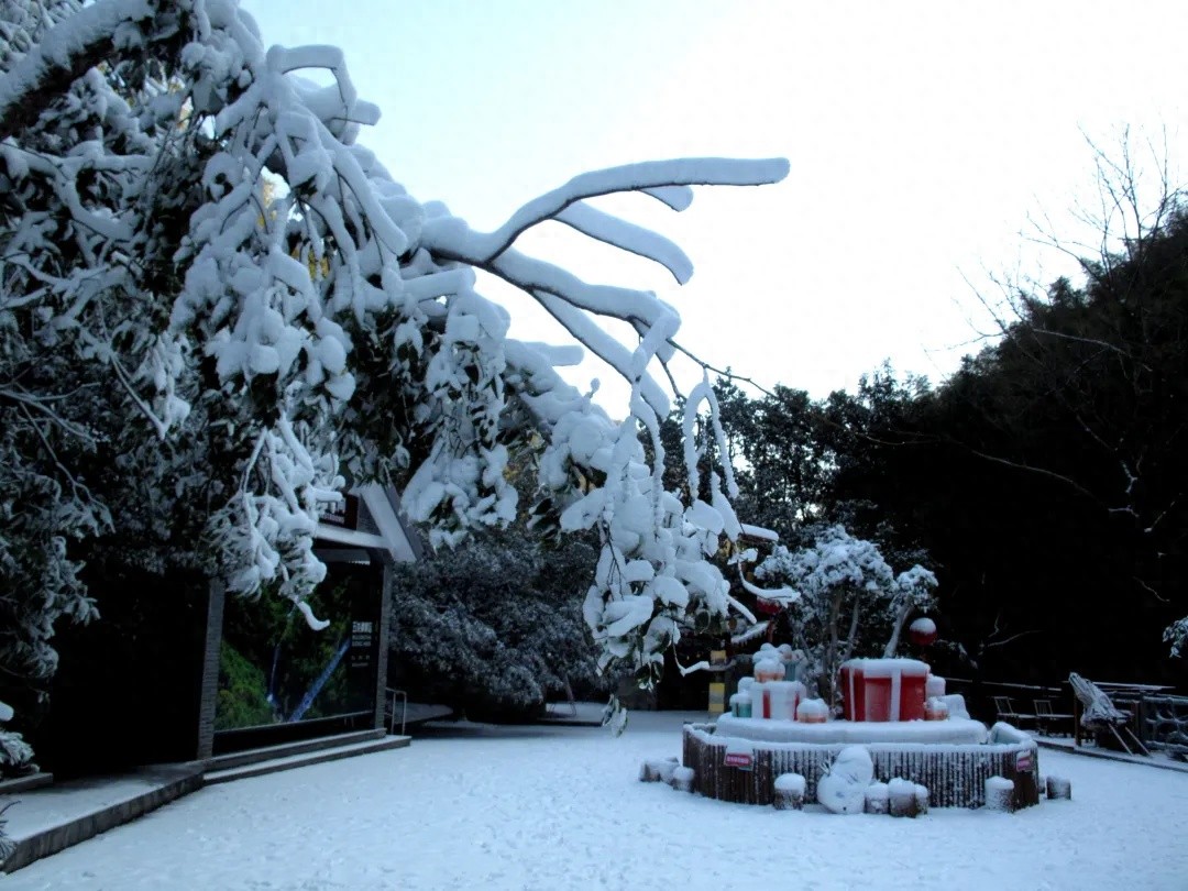 大年初三天气大变脸！浙江又要下雪？多地迎大雪暴雪
