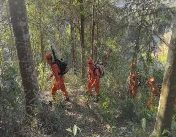 春节林区用火增多！江西机动队伍如何护航安全?  第5张