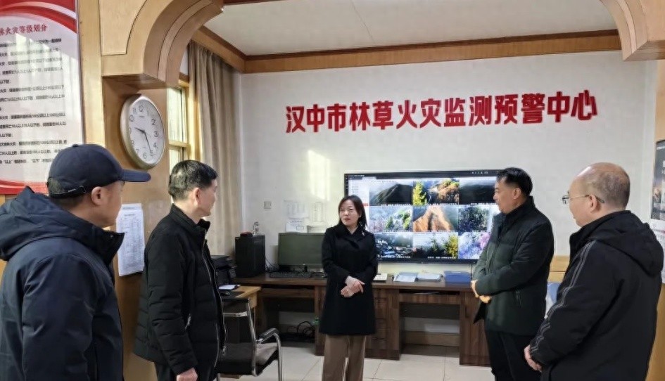 副市长春节期间检查森林防火，背后原因？  第1张