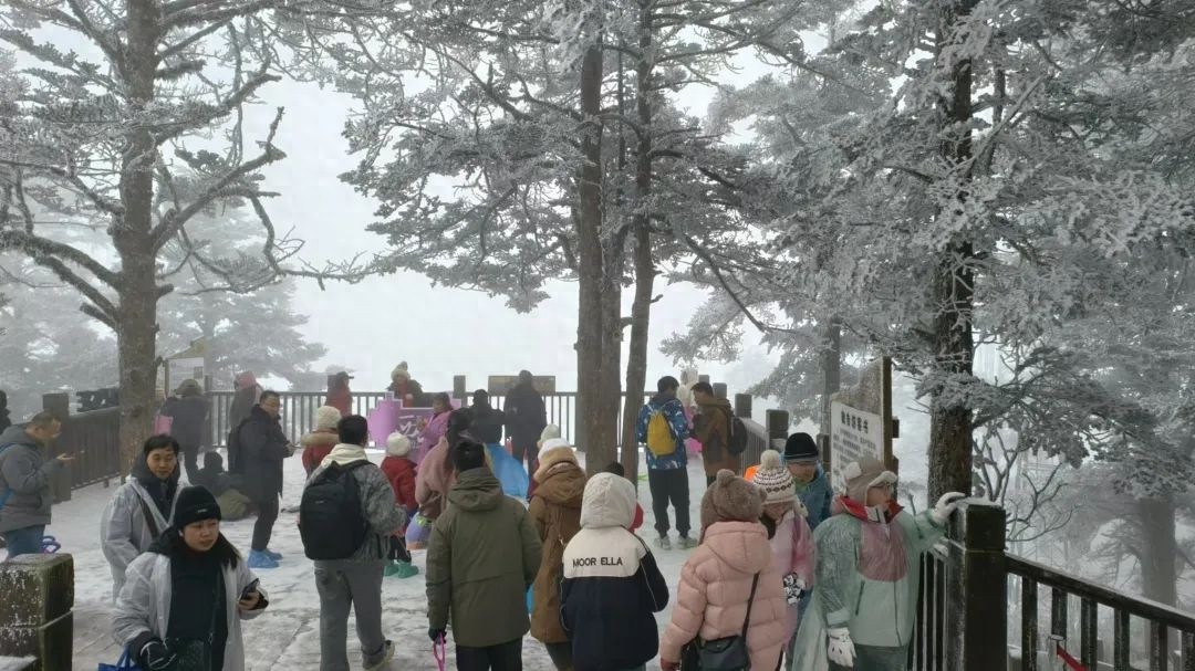 西岭雪山下起雨夹雪，游客为何依然热情不减？未来三天天气如何变化？