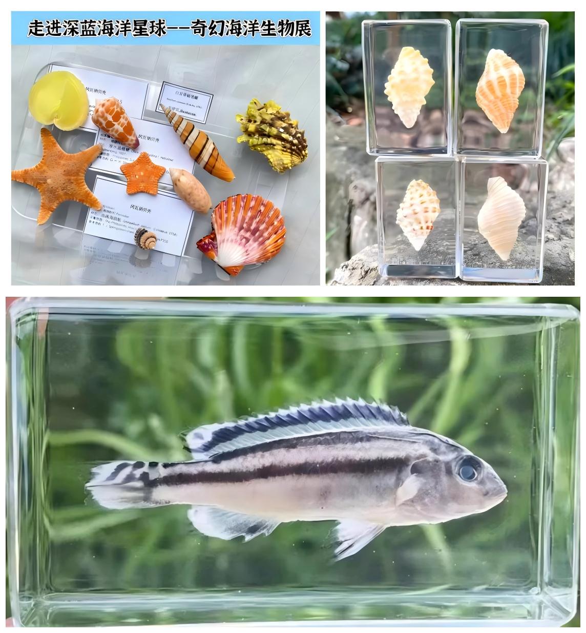 杨浦区公共文化配送活动超精彩！你还不快来？  第3张