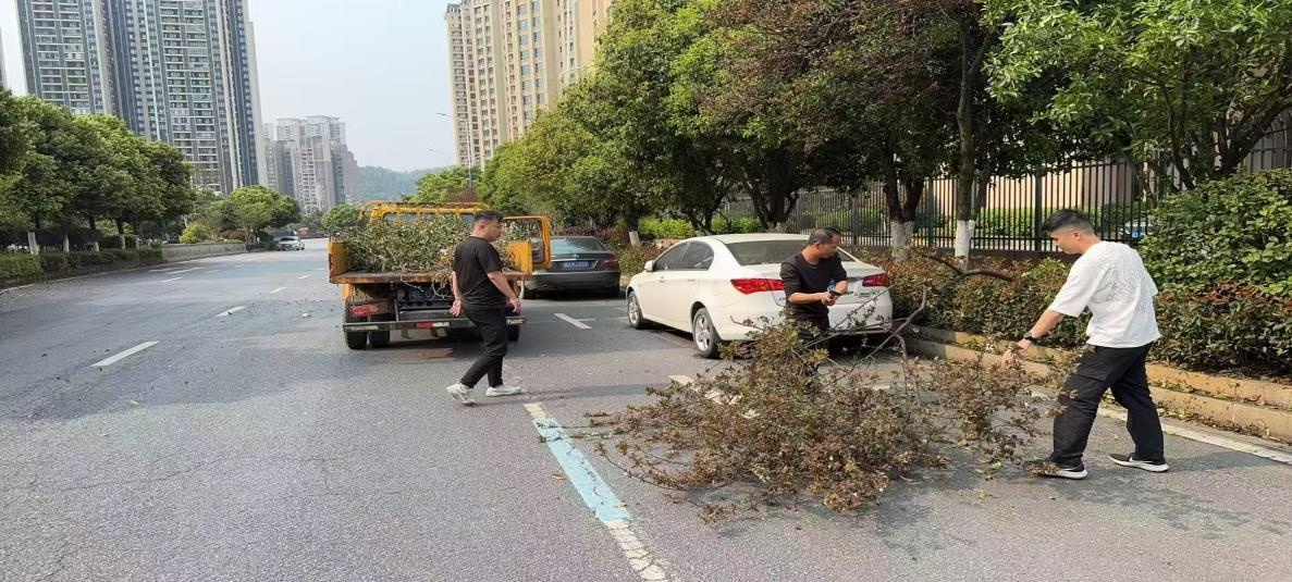 苏仙区城管局排水防涝应急演练！保障群众安全？  第3张