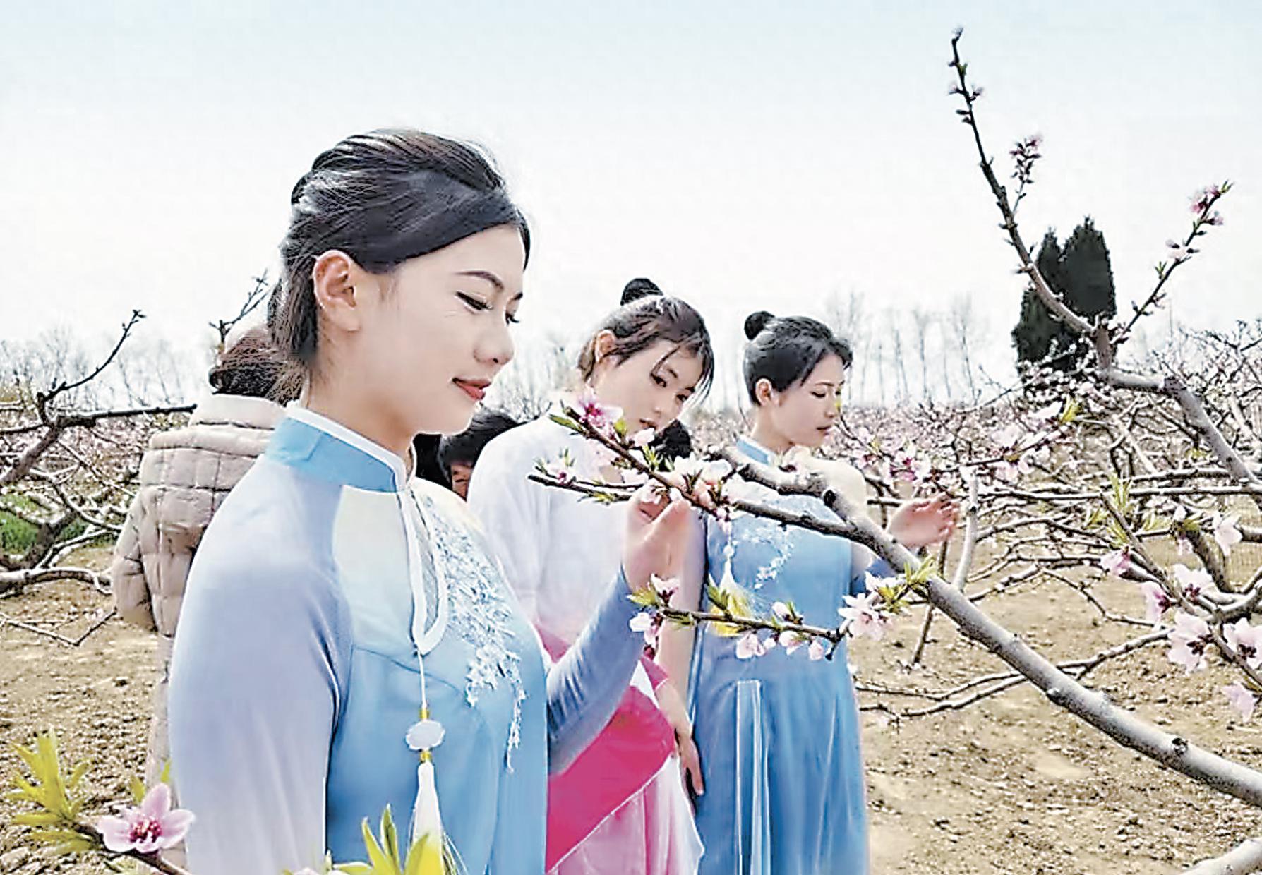 鄄城第三届桃花节启动！有啥精彩亮点？