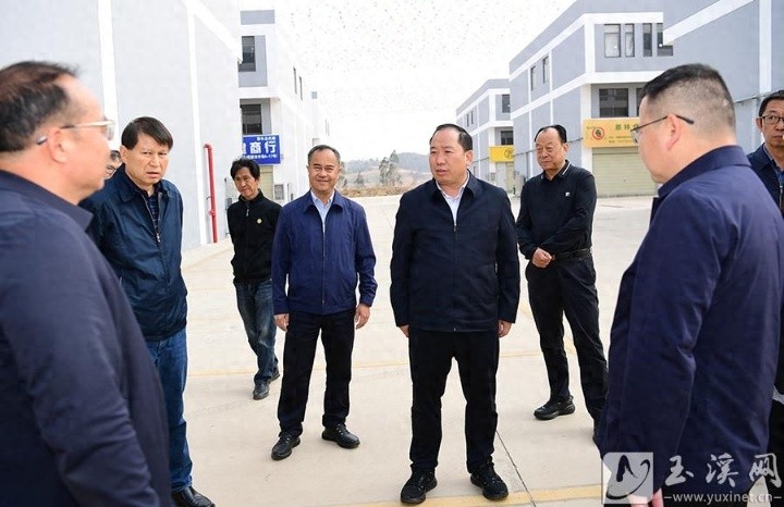 市长调研产业园区项目！澄江市产业发展将迎何种变革?  第1张