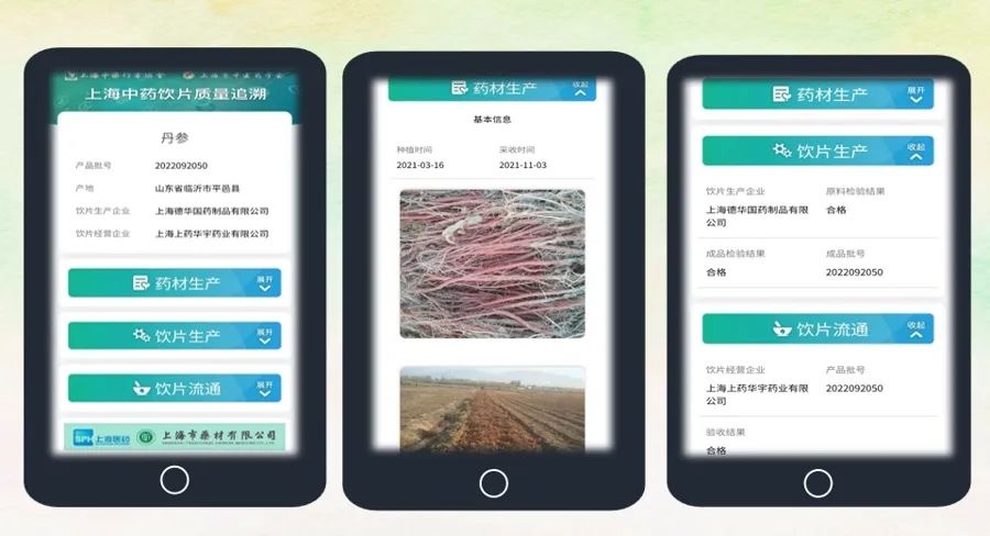 中药代煎竟有这么多秘密？40位消费者亲身体验后惊呆了  第3张