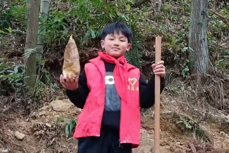 留守儿童挖春笋送老人：跨越代际的温暖如何传递?  第2张