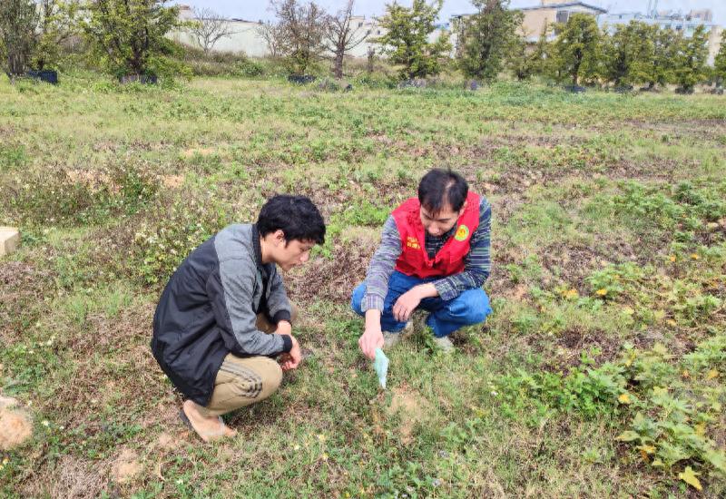 虎门农业科技特派员深入田间地头，红火蚁防控有妙招