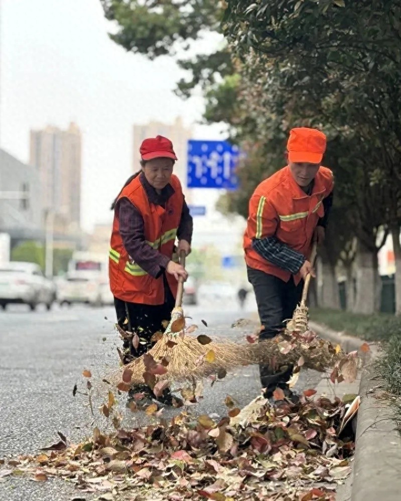 汛期将至长沙或有强对流天气!道路落叶会阻塞排水吗?  第1张