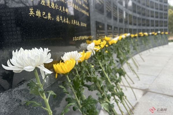 186位英雄永垂不朽！云南见义勇为主题广场震撼揭幕，你愿意来致敬吗？  第3张