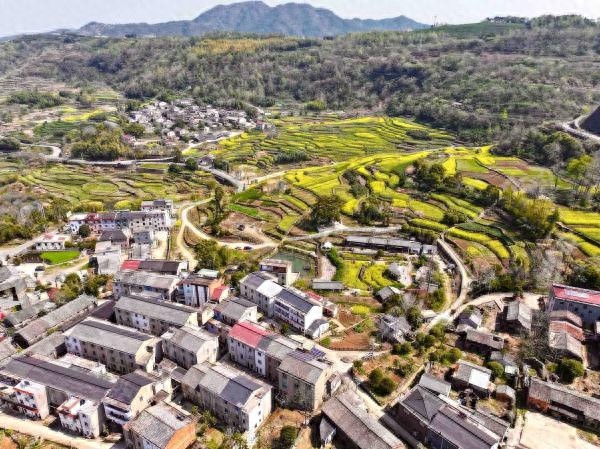 清明假期近了！你的旅行清单和挖野菜计划呢？